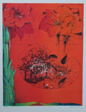 Ardy Struwer # AMARYLLISSEN # original lithograph,1995, signed /numb, mint