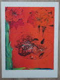 Ardy Struwer # AMARYLLISSEN # original lithograph,1995, signed /numb, mint