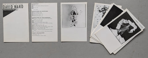 van Reekum Museum # DAVID WARD # 1981, nm
