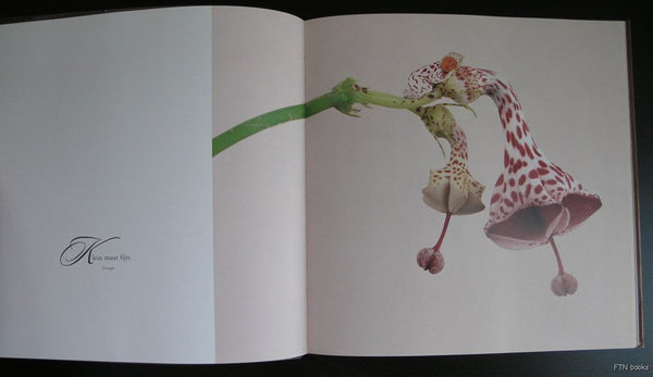 Anne Geddes # WAT IK NOG WILDE ZEGGEN # 1998, nm+ – ftn books