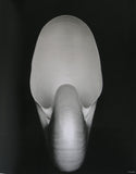 Trcka, Edward Weston, Helmut Newton # Die KUNSTLICHKEIT DES WIRKLICHEN#  1998, n