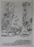 A. Ong # ZOMER -WINTER # Kalamiteit, 1980, nm