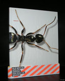 Boogaard, dutchTypography# MOBILITEIT #Grafisch Nederland, 2003