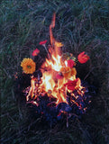 Elspeth Diederix # FIRE STILL LIFE # signed/ numb. 2004, mint