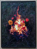 Elspeth Diederix # FIRE STILL LIFE # signed/ numb. 2004, mint