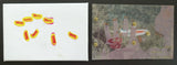artist publication, one of a kind # MARION GADIOT # ca. 1993, mint-/nm++