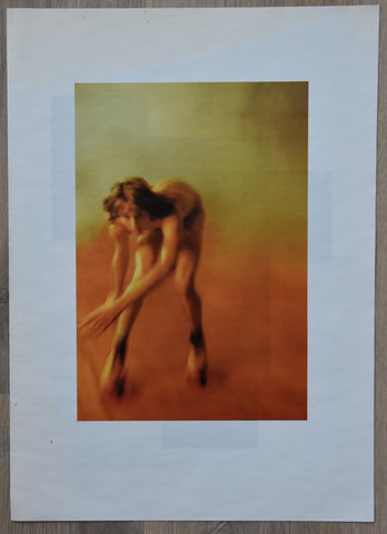 Agnes B, Point d'Ironie # RYAN McGINLEY # 2009, mint-