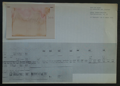 Artist publication, Hans de Vries # STIJGBEELDEN VAN VRUCHTEN # 1975, nm