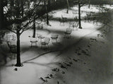 Stephen Daiter Gallery # ANDRÉ KERTÉSZ # 2001, mint