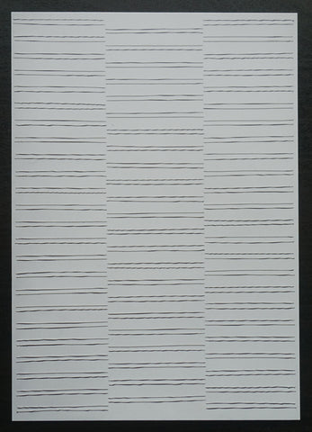 Andre Simoens gallery # WALTER LEBLANC # inviation, 2008, mint