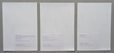 Gemeentemuseum Den Haag # FRANCIS BACON # 3 Press photographs, 2001, mint