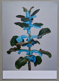 National Heritage of Poland # BOWNIK # invitation/card, Mint