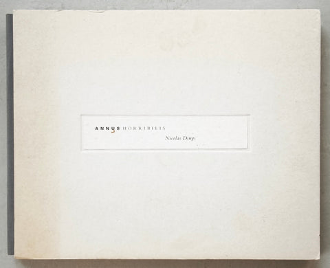 Kunstvereniging Diepenheim # NICOLAS DINGS # 1993, nm+
