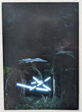 Heden # LOTTE GEEVEN # invitation, 2011, mint--