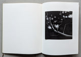 Wild Hawthorn Press  # HIGHLIGHTS # 1997, ed. 250 , NM+