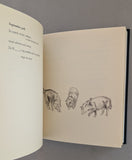 Jaki Irvine , Frith gallery # TOWARDS A POLAR SEA # 2005, mint