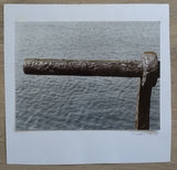 Robert Pot # ORIGINELE FOTO, Leuning # 1988, mint/mounted