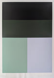 David Saunders # SCREENPRINT, composition # 1990, mint-/nm++++