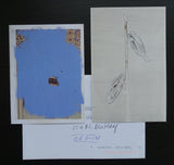(Gerard Verdijk) + Josephine Sloet # NEW YEARS WISH # 2011, mint-7.5 x 5.1