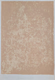 Bernard Villers # PORTRAIT OF A RIB PAPER # 1990, nub/signed, mint