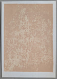 Bernard Villers # PORTRAIT OF A RIB PAPER # 1990, nub/signed, mint