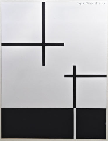 Elizabeth Willmott # COMPOSITIE # 1989, mint--