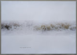 de Vleeshal # 2 artist prints # ANCHAN # 2026, mint