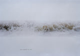 de Vleeshal # 2 artist prints # ANCHAN # 2026, mint