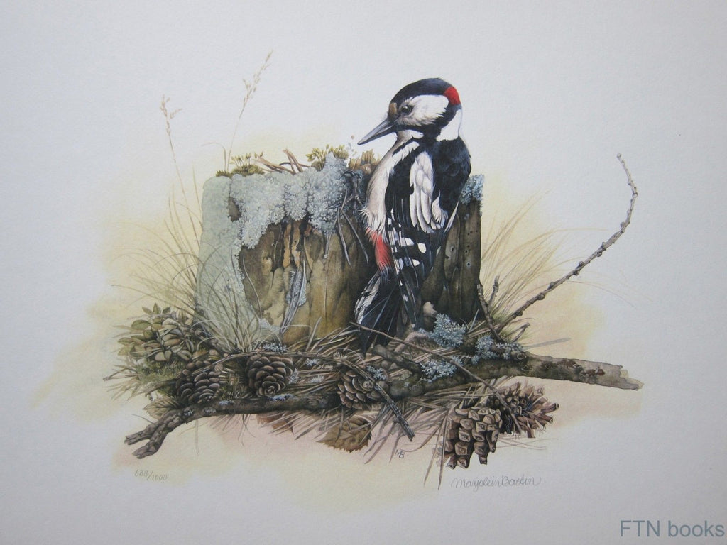 Marjolein Bastin # WOODPECKER # original litho, signed and numbered. c ...