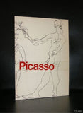 Pablo Picasso # PICASSO # nm, introduction