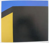 Pace Gallery#TONY SMITH,paintings and sculpture#nm,1983