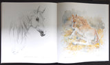 Piet Klaasse # PIET KLAASSE TEKENT PAARDEN , (Horses)# 1983, mint--/nm+++