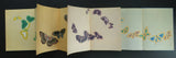 Japan/ Metropolitan Museum of Art, Yoshi ZO Yoshida # A FLIGHT OF BUTTERFLIES # leporello, 1979, mint