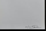 Sandra Derks ,artist book # I WALKED INTO A NOITULOVER # signed, 1993, nm+