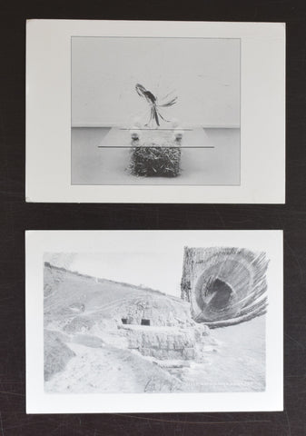 2 Art & Project postcards # CAREL VISSER # 1984, nm