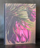 Ina Van Zyl # SHAME PIECES # 2010, nm+